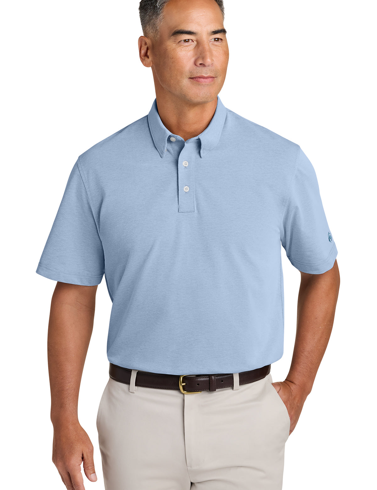 Brooks Brothers Men's Pinpoint Pique Dress Polo