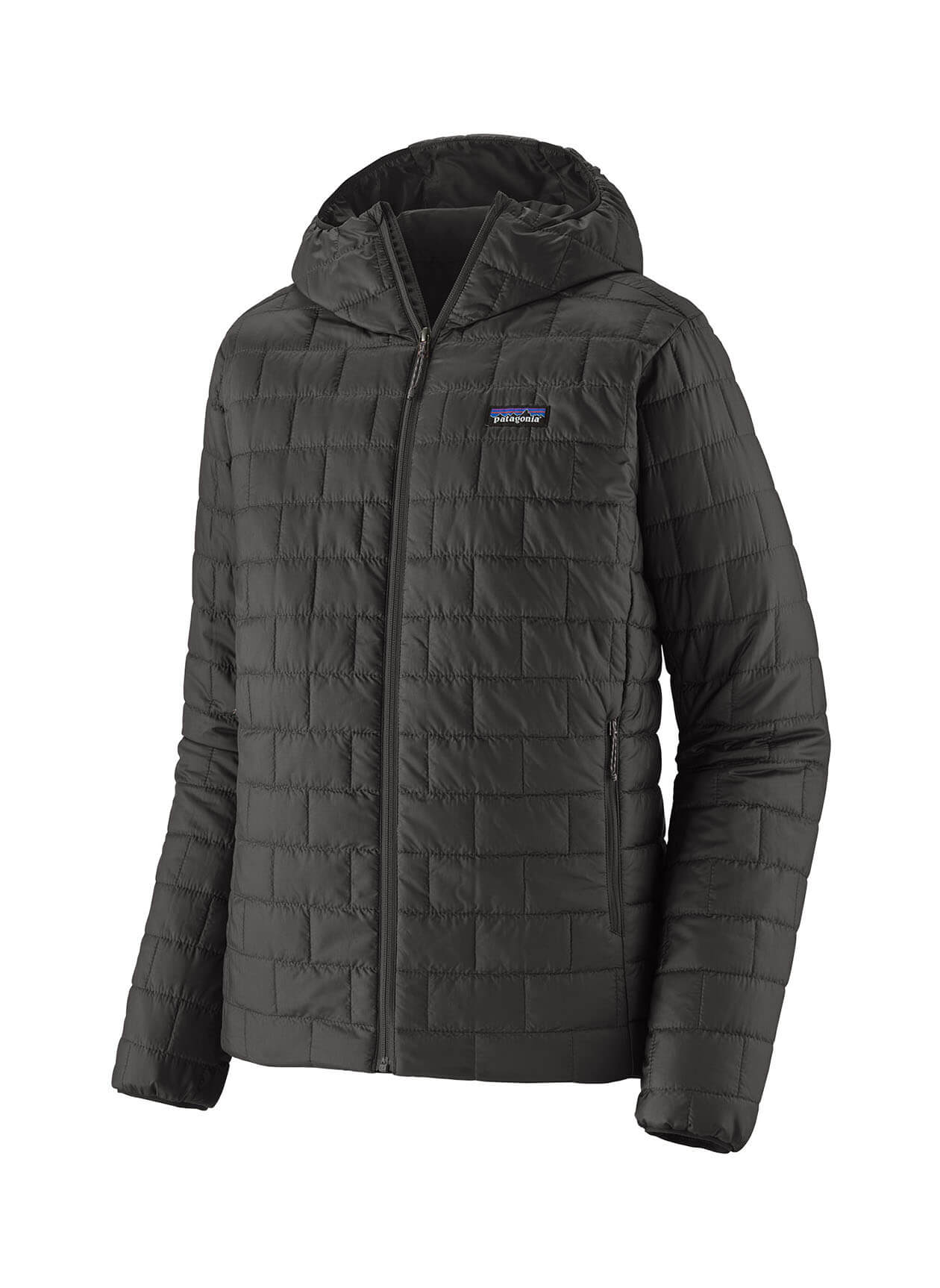 Patagonia Men's Nano Puff Hoody