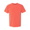 Bright Salmon