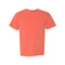 Bright Salmon