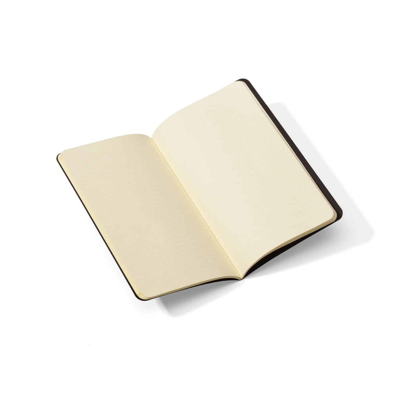 Kiernan Trebach Moleskine® Cahier Ruled Large Journal